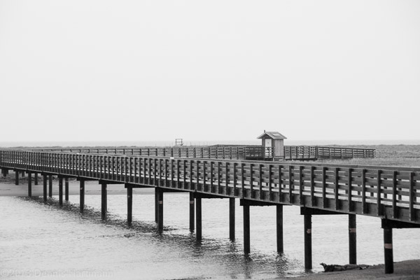 Northumberland Strait Boardwalk